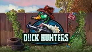 No Limit City